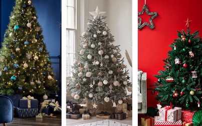 Xu hướng trang trí cây thông thời thượng cho Noel 2019