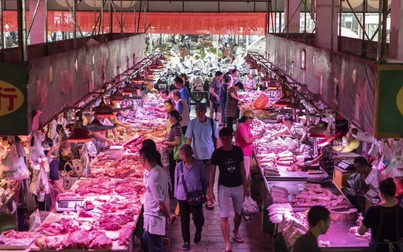 Ngân hàng Trung Quốc tặng thịt lợn nếu khách hàng gửi tiền