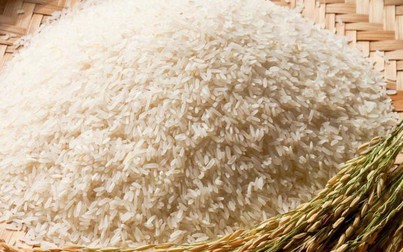 Xuất khẩu gạo vẫn khả quan, giá cám vàng tiếp tục giảm
