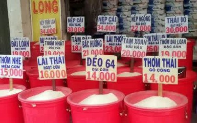 Giá xuất khẩu khả quan, giá gạo lẻ tăng nhẹ tại các chợ