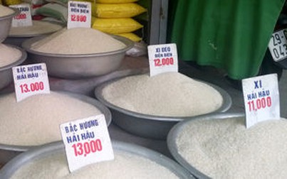 Giá gạo xuất khẩu tiếp tục ổn định, cám vàng giảm giá