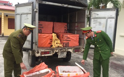 Chặn đứng hơn 1 tấn sản phẩm động vật “bẩn” trên đường về Hà Nội