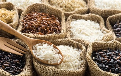 Giá gạo ổn định ngày đầu năm