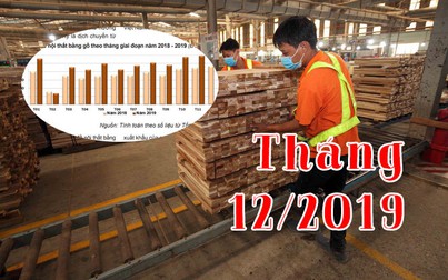 Báo cáo ngành hàng gỗ cuối tháng 12/2019: Giảm nhẹ thị phần nhập khẩu của Trung Quốc