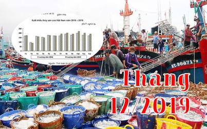 Báo cáo ngành hàng thủy sản cuối tháng 12/2019: Xuất khẩu tăng tháng thứ 6 liên tiếp