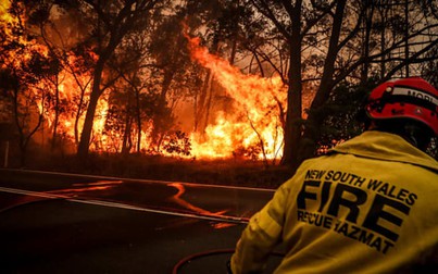 Cháy rừng ở Australia có thể khiến nền kinh tế đi xuống