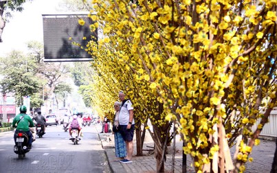 Đường phố Sài Gòn bắt đầu trang trí đón xuân Canh Tý, vẫn là “hoa lá cành”