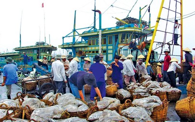 Năm 2019, xuất khẩu hải sản Việt Nam đạt 3,2 tỷ USD
