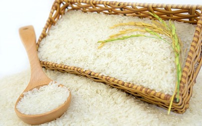 Giá gạo xuất khẩu ổn định, cám vàng giảm mạnh