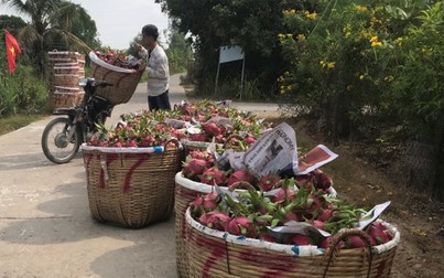 Nông sản Việt ảnh hưởng nặng khi thị trường Trung Quốc ngưng trệ