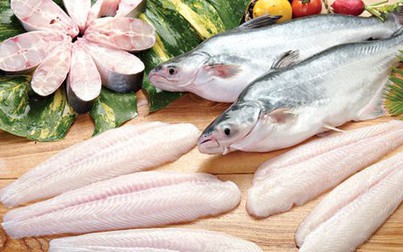 Trung Quốc - Hồng  Kông điểm sáng xuất khẩu cá tra liệu có ảnh hưởng bởi dịch corona