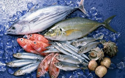 Nguồn nguyên liệu khan hiếm khiến xuất khẩu thủy sản sụt giảm
