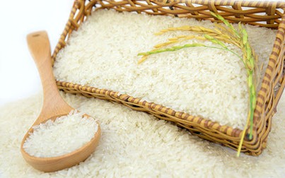 Gạo Việt Nam mặt hàng xuất khẩu tiềm năng sang Bờ Biển Ngà
