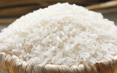 Giá xuất khẩu gạo vẫn giữ xu hướng tăng