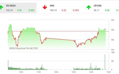 Phiên chiều 13/2: Cổ phiếu nhỏ nổi sóng, VN-Index may mắn thoát hiểm