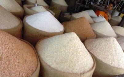 Giá gạo xuất khẩu giữ xu hướng tăng