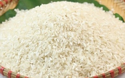 Giá xuất khẩu ổn định, gạo lẻ tăng nhẹ tại các chợ