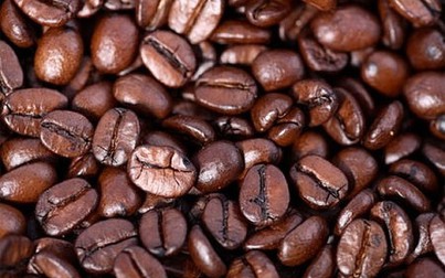 Cà phê Robusta rời khỏi đáy 4 tháng, trong nước tăng giá theo