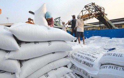 Giá gạo xuất khẩu ổn định, cám vàng tiếp tục tăng giá