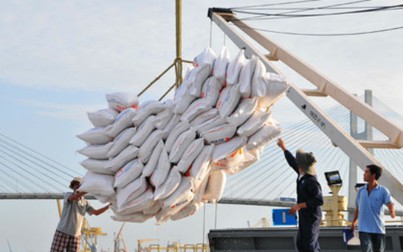 Bất chấp COVID-19, xuất khẩu gạo Việt Nam vẫn tăng vọt