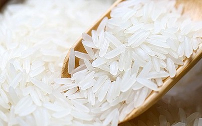 Cơ hội xuất khẩu gạo sang Senegal