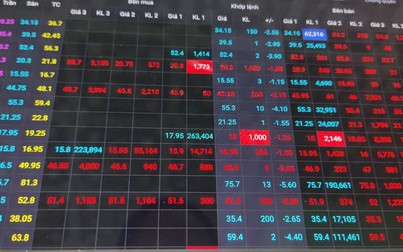 Hàng loạt cổ phiếu giảm sàn khiến Vn-Index lao dốc sáng 13/3