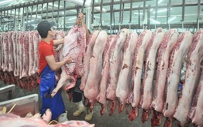50.000 tấn thịt heo sẽ nhập vào VN, kỳ vọng giá thịt heo giảm