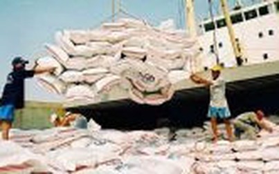 Việt Nam tạm dừng xuất khẩu gạo vào ngày 24/3