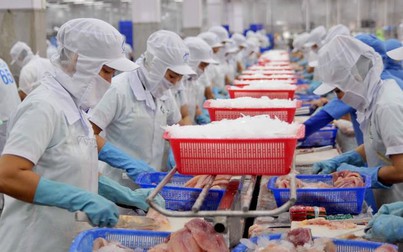 Kỳ vọng "hồi sinh" xuất khẩu cá tra ở thị trường Trung Quốc