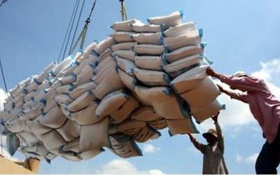 Thủ tướng Chính Phủ: Yêu cầu tạm dừng ký hợp đồng xuất khẩu gạo mới