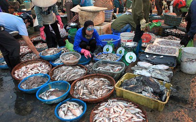 Giá cá, thực phẩm...tăng nhẹ tại chợ lẻ