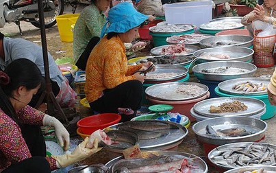 Giá các loại hải sản tiếp tục giảm mạnh tại chợ lẻ