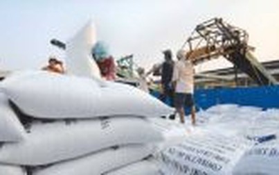 Ngưng xuất khẩu gạo, nông dân sẽ thiệt thòi