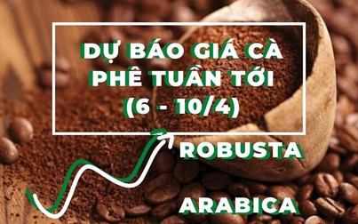 Dự báo giá cà phê tuần tới (6 - 11/4): Tăng nhẹ