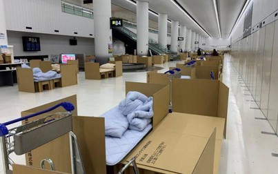 Nhật Bản bố trí giường bằng bìa carton cho du khách mắc kẹt ở sân bay