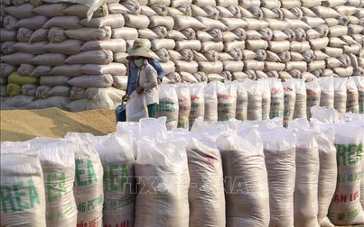 Vẫn mua chưa đủ số lượng gạo dự trữ Quốc gia
