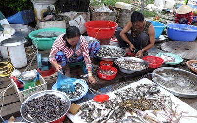 Ngày cuối cách ly xã hội, giá cá nước ngọt tăng mạnh