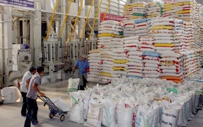 Tổng cục Hải quan hướng dẫn đăng ký tờ khai xuất khẩu gạo