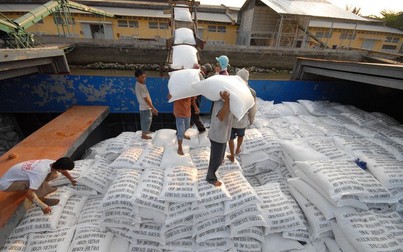 Thanh tra Chính phủ thanh tra việc xuất khẩu gạo