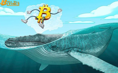 Top 10 tiền ảo đồng loạt tăng giá, Bitcoin giữ mức 7.500 USD