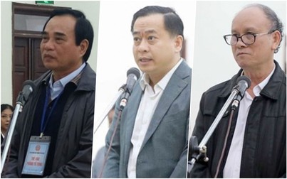 Sắp xét xử phúc thẩm hai cựu chủ tịch Đà Nẵng và Vũ 'Nhôm'