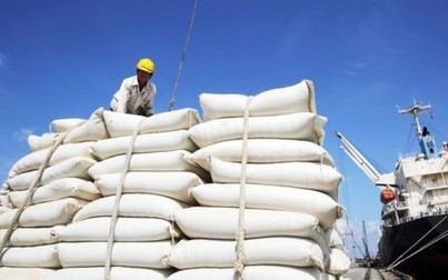 Hơn 53.000 tấn gạo xuất khẩu bị hủy tờ khai hải quan