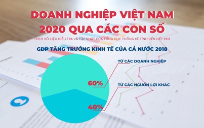 Doanh nghiệp Việt Nam 2020 qua các con số