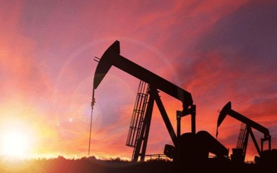 Giá dầu thô phục hồi hơn 9%, sau khi liên tục giảm mạnh