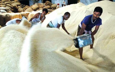 Giá gạo Ấn Độ chạm mức cao nhất của 9 tháng