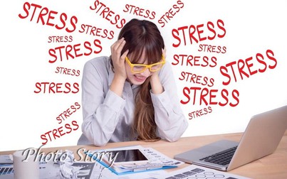 9 loại thảo dược giúp giảm stress hiệu quả, an toàn