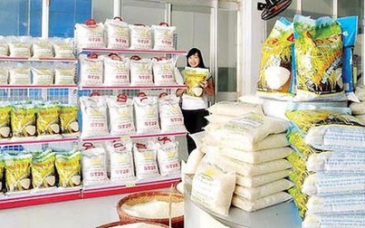 Giá lúa gạo giữ được đà tăng