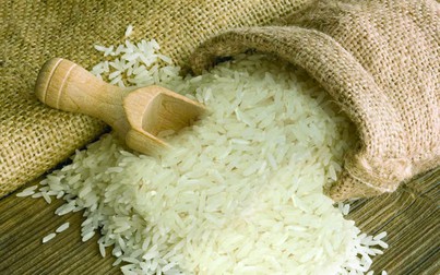 Giá lúa gạo hôm nay có xu hướng giảm