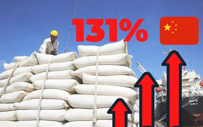 Số lượng gạo Việt Nam xuất sang Trung Quốc tăng hơn 130% trong 4 tháng đầu năm