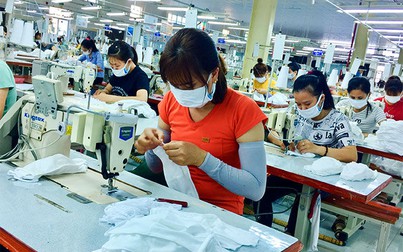 Doanh nghiệp Việt lưu ý tiêu chuẩn khi xuất khẩu trang sang EU